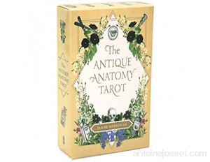 S-TROUBLE The Antique Anatomy Tarots 78-Card Deck Full English Oracle Cards Divination Fate Family Party Board Game