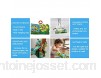 rongweiwang Tissu Livres pour bébé Cartoon Design lavables Livres bébé 0-3 Ans en Tissu éducatif Tout-Petits Jouets éducatifs Early Learning