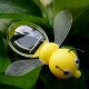 RUIYELE Jouet abeille solaire - Mini robot à énergie solaire - Jouet pour enfants - Pour Noël et anniversaire - Jouet éducatif - Cadeau idéal
