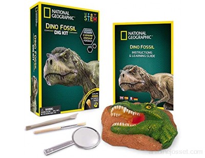 Bandai - National Geographic - Kit de fouille - 3 fossiles de dinosaure à extraire - Jeu scientifique et éducatif - STEM - JM00612