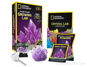 Bandai- Purple Crystal Grow Kit National Geographic Faire Pousser-Cristal Violet-Jeu Scientifique et éducatif-STEM-JM00632 JM00632