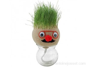 Laddup Jouets de tête d'herbe tête d'herbe Magique cultiver Les Cheveux végétaux Faites Votre Propre tête d'herbe de Pot pour Les Enfants Adultes