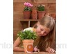My Fairy Garden E72781DE Semences de Plantes et de Jeux pour Enfants à partir de 4 Ans à Planter soi-même et Jouer avec Figurine de fée