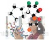 Sheens 240Pcs Liaison moléculaire kit Orbital moléculaire modèle Ensemble Organique modèle de biochimie inorganique pour étudiants Enseignants Jeunes scientifiques