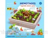 Feixing Jeu de mémoire Légumes - Carotte Harvest - Jouets en bois - Enfants - Motricité fine - Développement - Montessori - Jeu éducatif - Cadeau