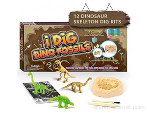 Dr. Daz kit de fouille Dinosaure Squelette Scientifique Dinosaure Enfant Jouet Brillent dans Le Noir Jeux éducatifs 7 8 9 10 Ans
