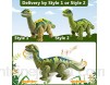 HERSITY Brachiosaure Dinosaure Marche avec Lampe de Projection et 3 Oeuf Dinosaure Enfant Jouet avec Lumière et Sonore Cadeau pour Enfant Garçon Fille 3 4 5 6 Ans