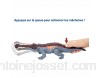 Jurassic World Méga Morsures grande figurine dinosaure articulé Sarcosuchus jouet pour enfant GVG68