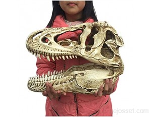 Modèle De Sculpture De Crâne De Dinosaure - T Rex Tête Tyrannosaure Statue Fossile Spécimen De Fossiles - pour La Recherche Animale Archéologique Ou La Décoration Intérieure Jouet Éducatif Scientifi