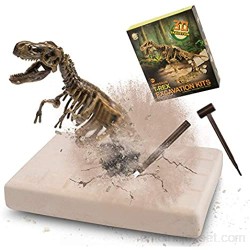 MUSCCCM Dinosaur Dig Kit T-Rex Dino Skeleton Fossil Excavation Kit Réaliste Dinosaure Modèle Jouets Éducatifs Cadeau pour Enfants Garçons Filles
