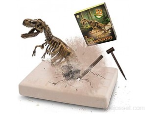 MUSCCCM Dinosaur Dig Kit T-Rex Dino Skeleton Fossil Excavation Kit Réaliste Dinosaure Modèle Jouets Éducatifs Cadeau pour Enfants Garçons Filles