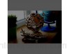 UGEARS Puzzle 3D en Bois - Puzzle adulte - Modèle de Globe terrestre 3D Rotatif - Kit de construction mécanique en bois - Globe interactif avec Navette et Spoutnik - Casse tete Cadeau magnifique