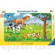 Ravensburger - 06066 - Puzzle Enfant avec Cadre - Affectueux Animaux - 15 Pièces