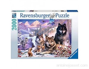 Ravensburger- Puzzle 2000 pièces-Loups dans la Neige Adulte 4005556160129