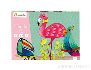 Avenue Mandarine PU011O - Une boite de 3 puzzles XL 4 6 et 8 pièces Oiseaux tropicaux