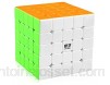 Ludokubo Cube Qiyi Qizheng 5x5 - Stickerless