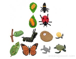 Angoily Lot de 12 figurines d'animaux de la ferme - Durée de vie - Cycle de papillon tortue et insectes - En plastique - Durée de vie - Pour l'école pédagogique
