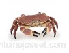 Papo- Crabe LA Vie Sauvage Figurine 56047 Multicolore