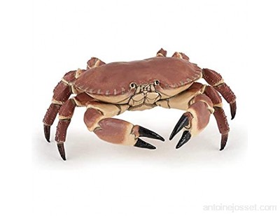 Papo- Crabe LA Vie Sauvage Figurine 56047 Multicolore
