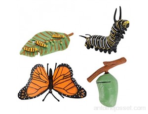 Toyvian Lot de 4 Chiffres de Cycle de Vie Chiffres de Papillon Insectes Biologie Science Modèle Jouet éducatif Figurines Évolution Jouet de Croissance Modèle pour Enfants